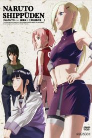 Naruto Shippuden: Saison 15