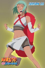 Naruto Shippuden: Saison 18