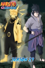 Naruto Shippuden: Saison 19