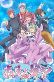 Amanchu!: Saison 2