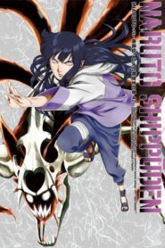 Naruto Shippuden: Saison 8