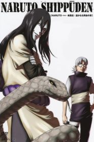 Naruto Shippuden: Saison 2