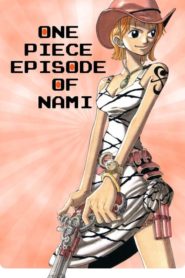 One Piece : Épisode de Nami : Les larmes de la navigatrice, le lien des compagnons