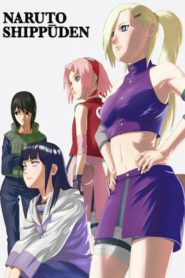 Naruto Shippuden: Saison 3