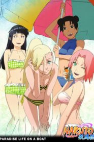 Naruto Shippuden: Saison 11