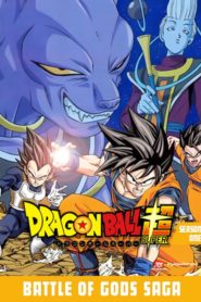 Dragon Ball Super: Saison 1