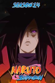 Naruto Shippuden: Saison 14