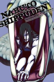 Naruto Shippuden: Saison 6