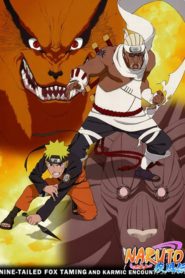 Naruto Shippuden: Saison 12