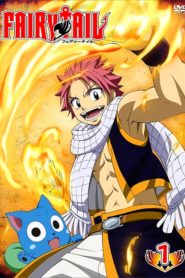 Fairy Tail: Saison 1