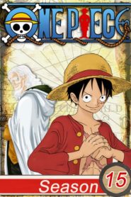 One Piece: Saison 15