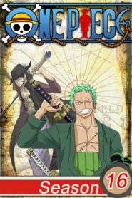 One Piece: Saison 16