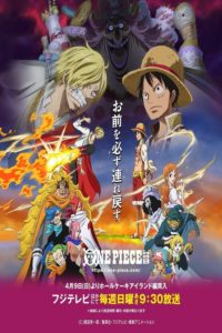 One Piece: Saison 19