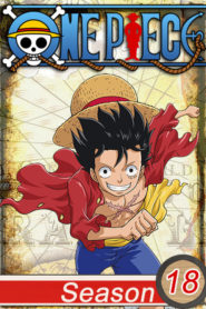 One Piece: Saison 18