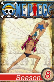 One Piece: Saison 8