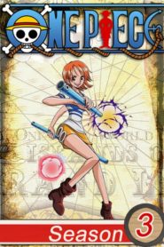 One Piece: Saison 3