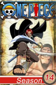 One Piece: Saison 14