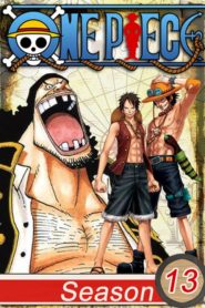 One Piece: Saison 13