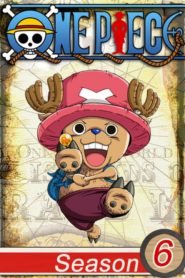 One Piece: Saison 6