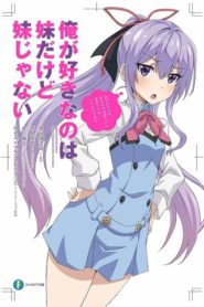 Ore ga Suki nano wa Imouto dakedo Imouto ja Nai: Saison 1