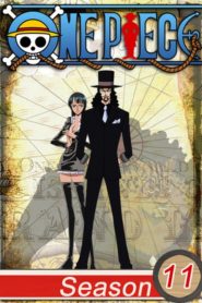 One Piece: Saison 11