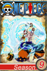 One Piece: Saison 9