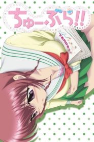 Chu-Bra!!: Saison 1