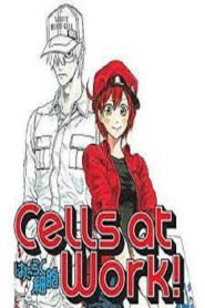 Hataraku Saibou – Les Brigades Immunitaires: Saison 1