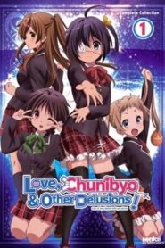 Love, Chunibyo & Other Delusions!: Saison 1