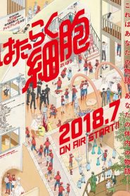 Hataraku Saibou – Les Brigades Immunitaires