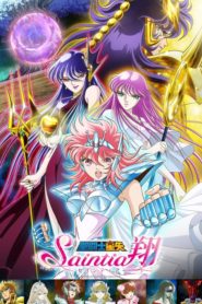 Saint Seiya : Saintia Shô