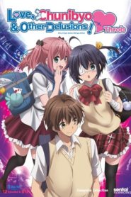 Love, Chunibyo & Other Delusions!: Saison 2