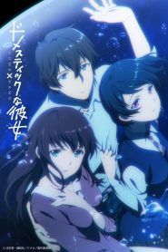 Domestic na Kanojo: Saison 1