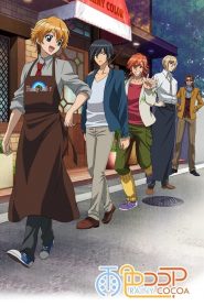 Ameiro Cocoa