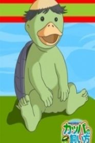 Kappa no Kaikata