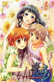 Kashimashi – Girl Meets Girl