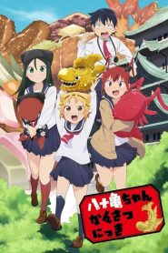 Yatogame-chan Kansatsu Nikki: Saison 1