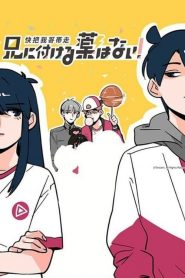 Ani ni Tsukeru Kusuri wa Nai!: Saison 1