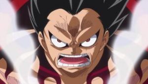 One Piece: Saison 19 Episode 887