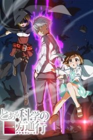 A Certain Scientific Accelerator