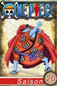 One Piece: Saison 20