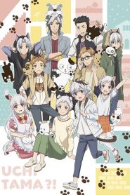 Uchitama?! ~Uchi no Tama Shirimasen ka~?