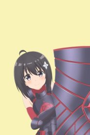 Itai No Wa Iya Nano De Bougyoryoku Ni Kyokufuri Shitai To Omoimasu: Saison 1