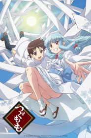 Tsugumomo: Saison 1