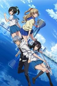 Strike the Blood: Saison 2