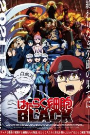 Les Brigades Immunitaires – BLACK – Hataraku Saibou Black