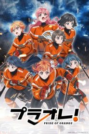 PuraOre! ~Pride of Orange~: Saison 1