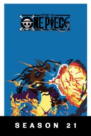 One Piece: Saison 21