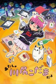 Atasha Kawajiri Kodama Da yo: Dangerous Lifehacker no Tadareta Seikatsu?