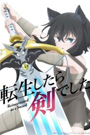 Tensei shitara Ken Deshita: Saison 1